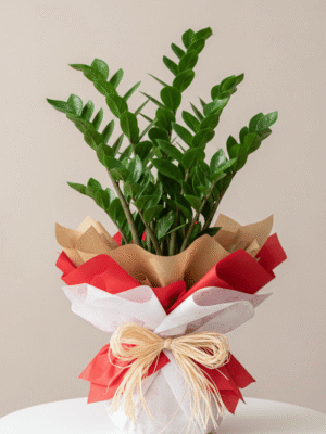 Coleção de Plantas Únicas